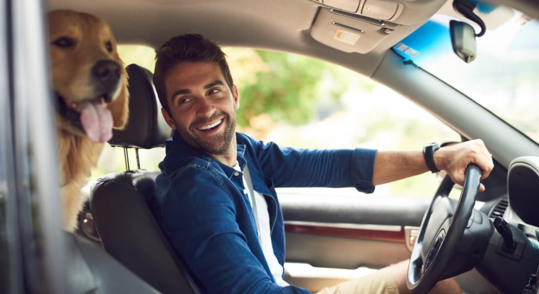 Cropped shot of a handsome young man taking a drive with his dog in the backseat