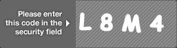 captcha code for visual authentication  letter L number 8 letter M number 4