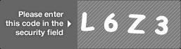 captcha code for visual authentication  letter L number 6 letter Z number 3