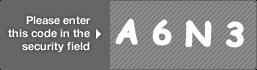 captcha code for visual authentication  letter A number 6 letter N number 3